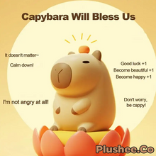 Capybara Squishy Night Light