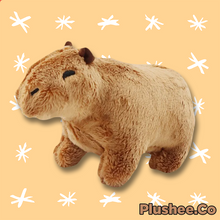 Capybara 