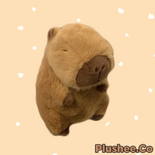 Capybara Plushee